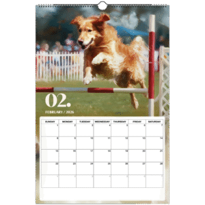 50c37acb-c928-4c04-9cd5-cc76a822d3f6