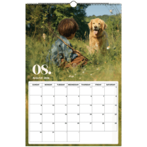 55b913fe-c777-4188-8cff-a05635425c79