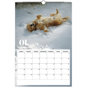 6a8a0013-610c-4974-8b97-c9363033a7b1