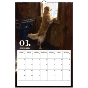 a261060b-6433-4498-8c5b-205d2da1bca7