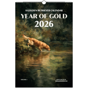 bf84706b-615d-41b5-ad44-de573407bf69