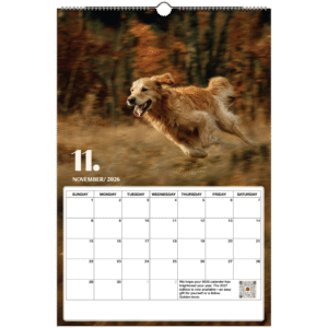 e899f07f-6cdd-4369-aebb-1de703d8d54e