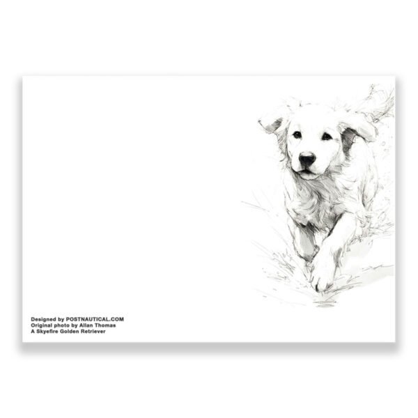 Set of 10 Golden Retriever Greeting Cards – Single Image Design, Blank Inside - Image 4