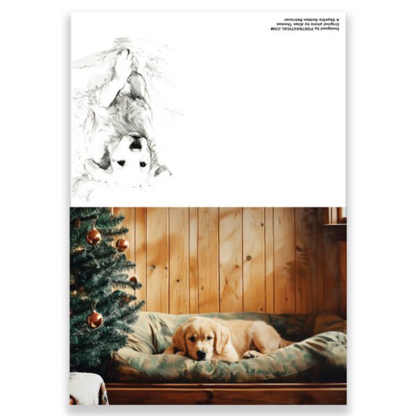 Set of 10 Golden Retriever Greeting Cards – Single Image Design, Blank Inside - Image 3