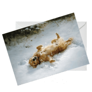 Set of 10 Golden Retriever Greeting Cards – Single Image Design, Blank Inside
