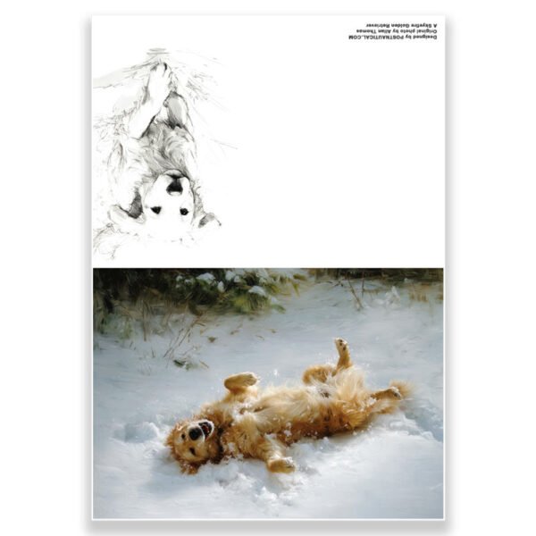 Set of 10 Golden Retriever Greeting Cards – Single Image Design, Blank Inside - Image 3